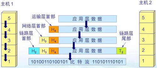 計(jì)算機(jī)網(wǎng)絡(luò)概述與系統(tǒng)工程服務(wù) 構(gòu)建數(shù)字時(shí)代的連接基石